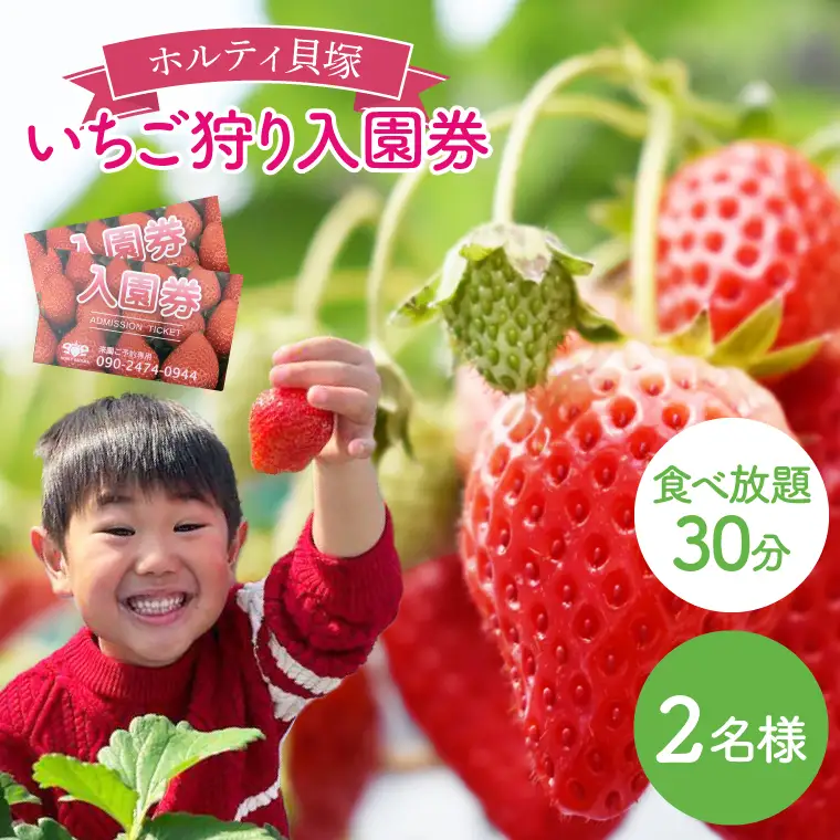 CS002-1 30分食べ放題　いちご狩り入園券（2名様）