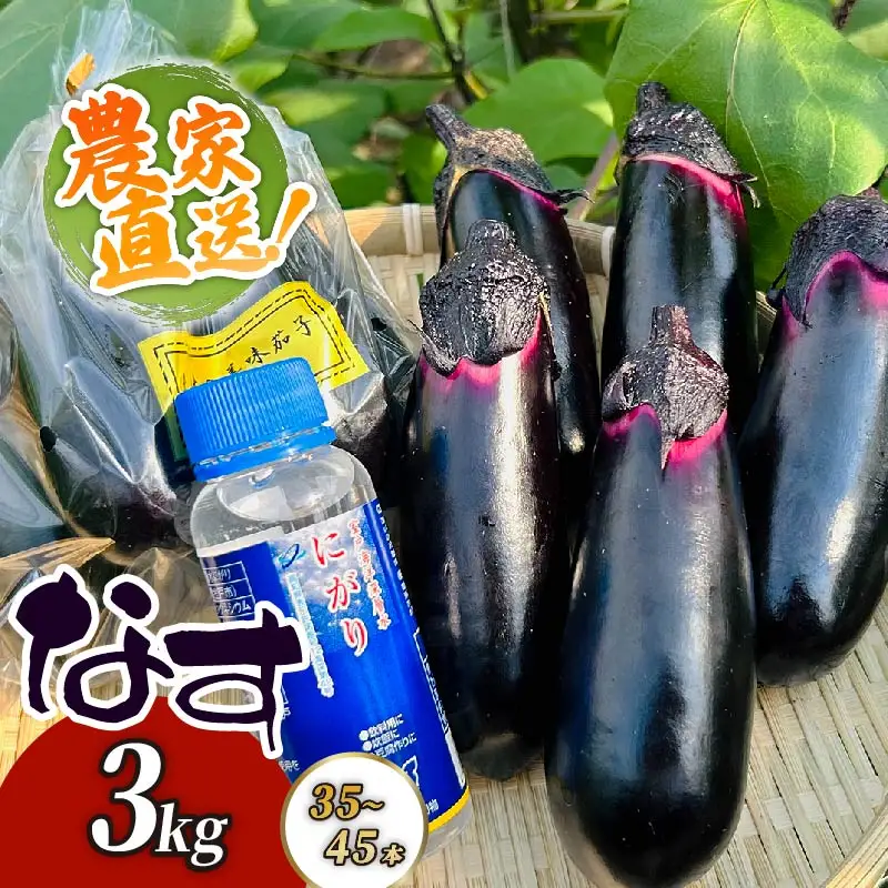 農家直送　土佐の美味茄子の新鮮ナス　３kg　（室戸海洋深層水にがり使用） 野菜 なす ナス 常温 小袋 国産 夏野菜 茄子 小分け 旬 10000円 高知