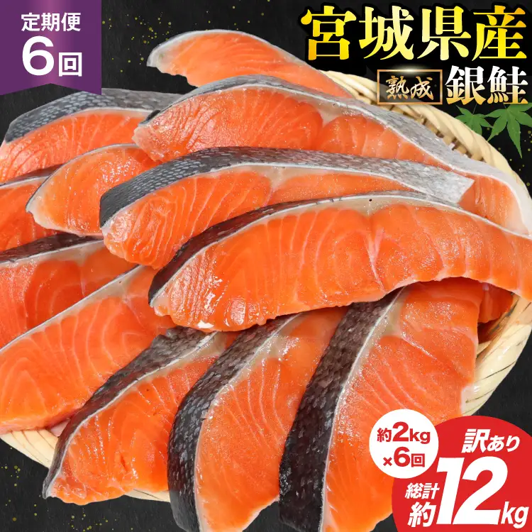 定期便 《6ヶ月連続お届け》 訳あり 宮城県産 熟成 銀鮭 切身 約2kg×6回 計12kg [宮城東洋 宮城県 気仙沼市 20564499]