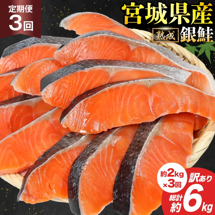 定期便 《3ヶ月連続お届け》 訳あり 宮城県産 熟成 銀鮭 切身 約2kg×3回 計6kg [宮城東洋 宮城県 気仙沼市 20564500]