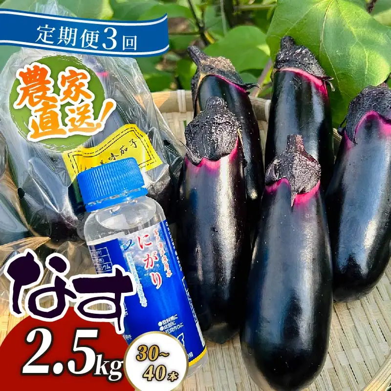 【定期便3回発送】農家直送　土佐の美味茄子の新鮮ナス　２．５kg　（室戸海洋深層水にがり使用） 野菜 なす ナス 常温 小袋 国産 夏野菜 茄子 小分け 旬 25500円 高知 頒布会
