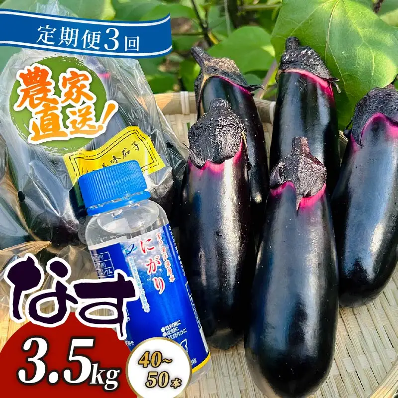 【定期便3回発送】農家直送　土佐の美味茄子の新鮮ナス　３．５kg　（室戸海洋深層水にがり使用） 野菜 なす ナス 常温 小袋 国産 夏野菜 茄子 小分け 旬  高知 頒布会