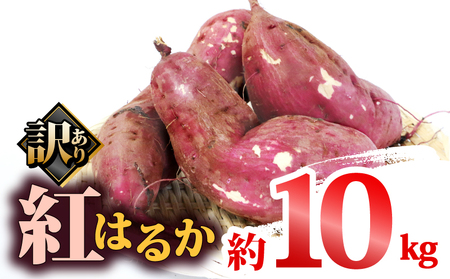 訳あり さつまいも 紅はるか 10kg 大森城山麓園 先行予約 愛媛県産 訳アリ 訳あり品 訳有り わけあり さつま芋 サツマイモ 野菜 やさい 栽培期間中 農薬 不使用 根菜 イモ 芋 産地直送 農家直送 数量限定 国産 愛媛 宇和島 F010-181002
