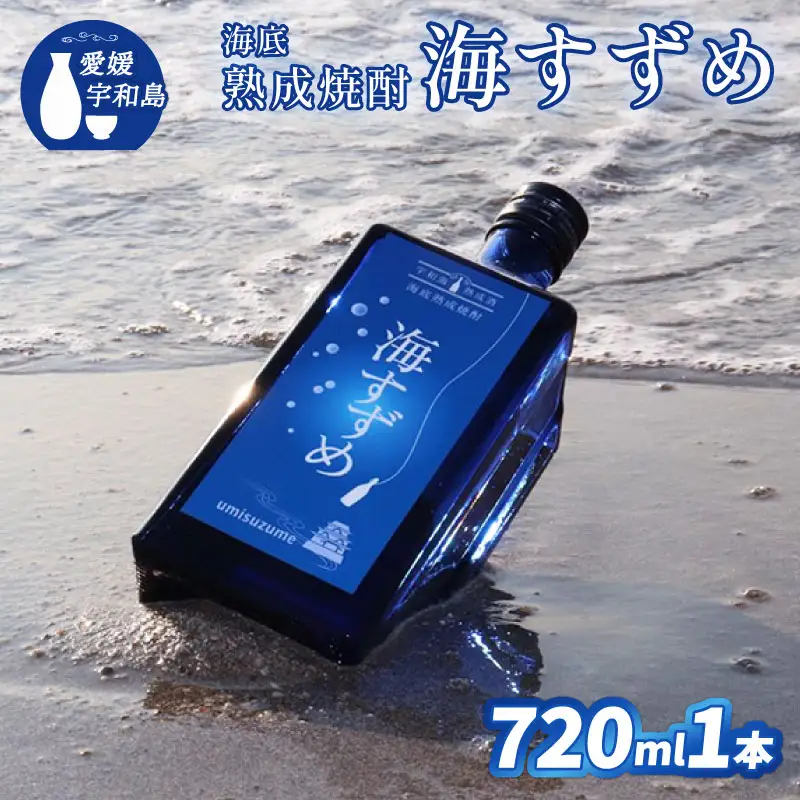 焼酎 海底熟成焼酎 海すずめ 720ml 1本 名門サカイ I015-085006