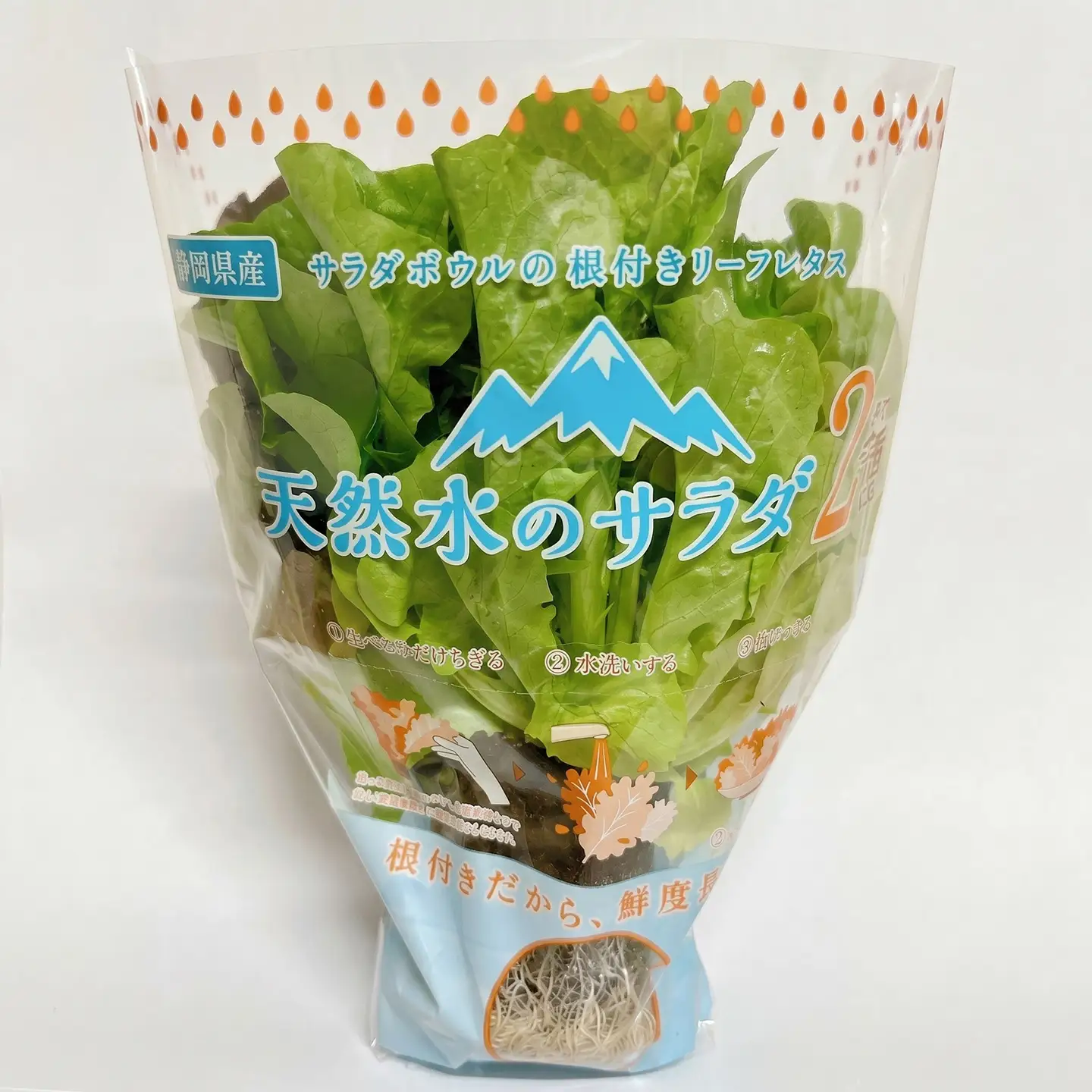 根付きリーフレタス 天然水のサラダ レタス