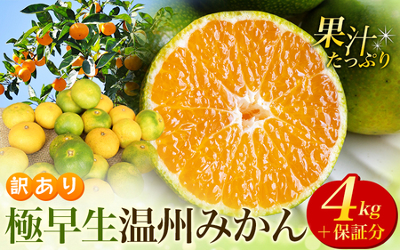 9月15日までの受付】 訳あり みかん 極早生温州みかん 約4kg＋傷み保証