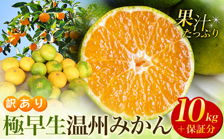 【9月15日までの受付】 訳あり 極早生温州みかん 約10kg＋傷み保証分400g 2S～3Lサイズおまかせ 【2026年9月下旬から10月中旬までに順次発送予定】/ 家庭用 ご家庭用 訳アリ わけあり ミカン 極早生みかん 蜜柑 柑橘 果物 くだもの フルーツ 極早生【njb692A】