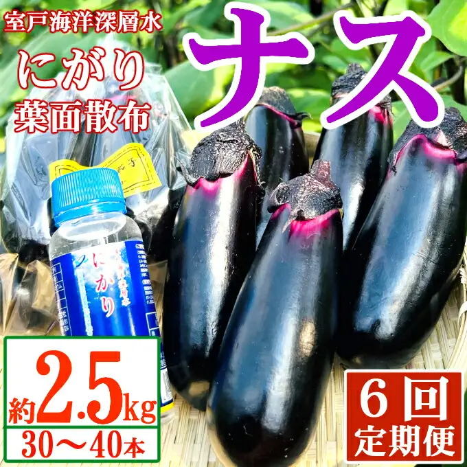 【定期便6回発送】農家直送　土佐の美味茄子の新鮮ナス　２．５kg　（室戸海洋深層水にがり使用） 野菜 なす ナス 常温 小袋 国産 夏野菜 茄子 小分け 旬 51000円 高知 頒布会