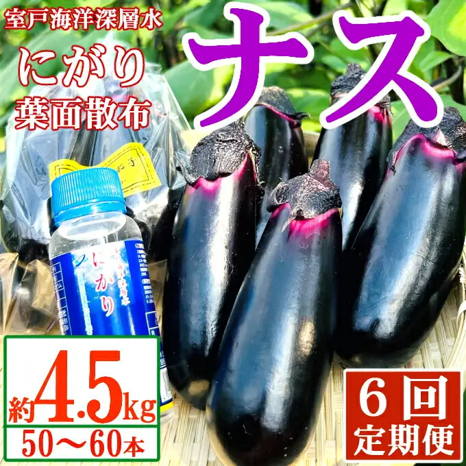【定期便6回発送】農家直送　土佐の美味茄子の新鮮ナス　４．５kg　（室戸海洋深層水にがり使用） 野菜 なす ナス 常温 小袋 国産 夏野菜 茄子 小分け 旬 90000円 高知 頒布会