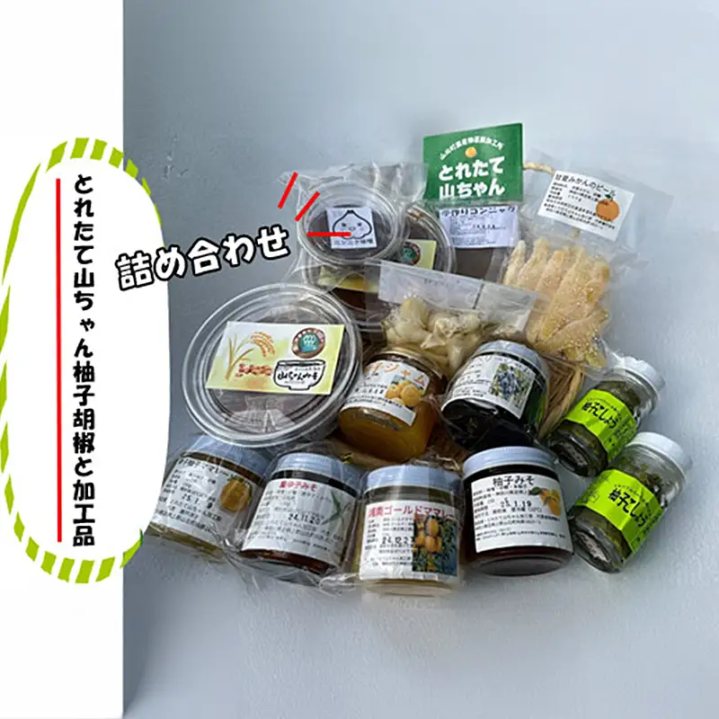 とれたて山ちゃん柚子胡椒と加工品【 柚子胡椒 味噌 自家栽培 自家製造 詰め合わせ 神奈川県 山北町 】