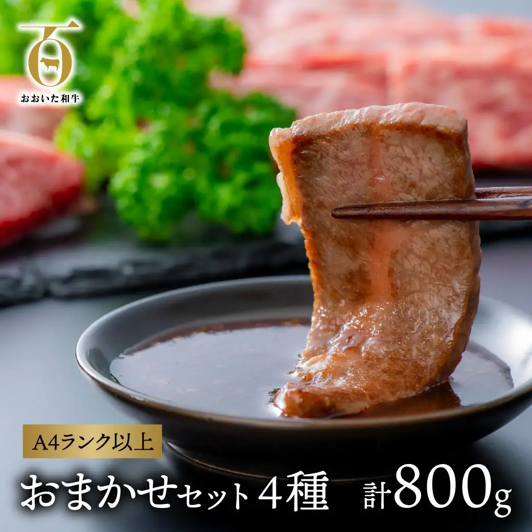 おおいた和牛 おまかせ焼肉セット(計800g) | 豊後高田市 和牛