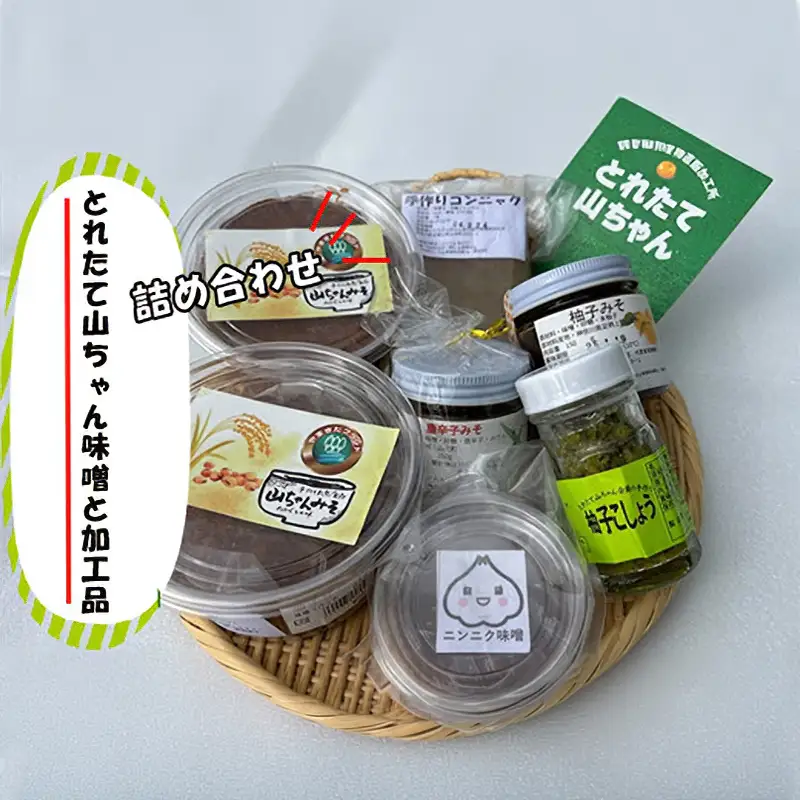 とれたて山ちゃん味噌と加工品【 味噌 柚子味噌 唐辛子味噌 にんにく味噌 柚子胡椒 こんにゃく 自家栽培 自家製造 詰め合わせ 神奈川県 山北町 】