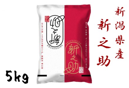 【令和7年産】新潟県産「新之助」5kg 関口商店 米 こめ コメ 精米 白米 【大人気のため予告なしに受付休止・再開します】 1N01016
