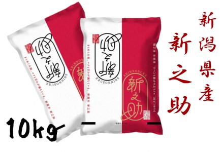 【令和7年産】新潟県産「新之助」10kg 関口商店 米 こめ コメ 精米 白米 【大人気のため予告なしに受付休止・再開します】 1N02030