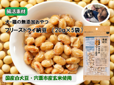 O22　腸活素材　犬・猫の無添加おやつ　フリーズドライ納豆　【 いぬ イヌ 犬 ねこ ネコ 猫 おやつ 腸活 安全 安心 健康 無添加 フリーズドライ グルテンフリー たんぱく質 大豆 】