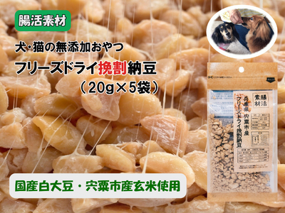 O23　腸活素材　犬・猫の無添加おやつ　フリーズドライ挽割納豆　【 いぬ イヌ 犬 ねこ ネコ 猫 おやつ 腸活 安全 安心 健康 無添加 フリーズドライ グルテンフリー たんぱく質 大豆 】