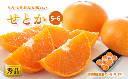 【2027年2月中旬頃から順次発送】 せとか 【秀品】 (2L-3L / 5-6玉）贈答用化粧箱入り  【せとか】【KK3081】