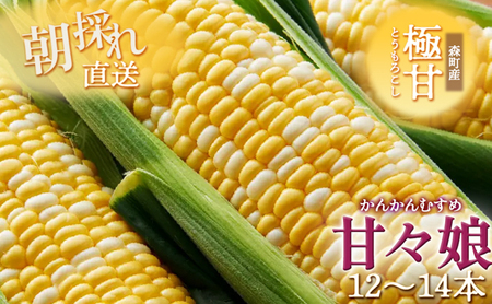 とうもろこし 先行予約 甘々娘 12～14本 朝獲れ 産地直送 夏 旬 夏野菜 コーン 2026年
