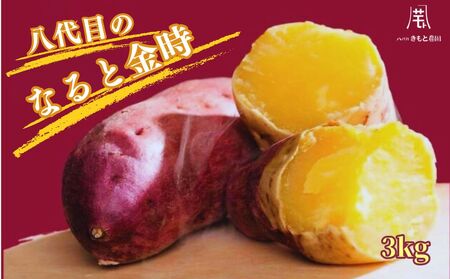 【木元農園】八代目の なると金時 約3kg  | 鳴門金時 甘い ホクホク 熟成 産地直送 スイーツ おやつ 焼きいも 天ぷら 干し芋 スイートポテト 離乳食　さつまいも
