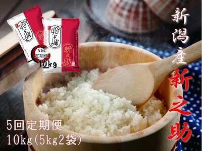 【令和7年産】【5回定期便】 阿賀野市産  新之助 10kg（5kg×2袋） 白米 精米 新潟県 米 こめ コメ 1W04143