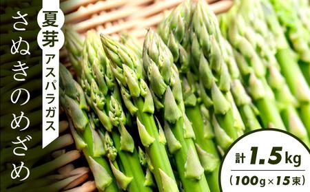 夏芽アスパラガス「さぬきのめざめ」(100g×15束)