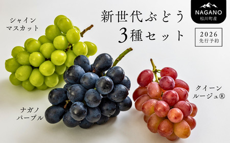 TK05　ぶどう3種セット プレミアムスリー（クイーンルージュ🄬／シャインマスカット／ナガノパープル）約1.5kg／2026年9月中旬頃～9月下旬配送予定 // 3種セット 長野県 南信州 種なし 皮ごと 食べ比べ 詰め合わせ 贈答 ギフト 新鮮 希少