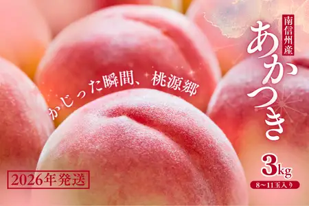 JA02 桃 あかつき 約3kg / 2026年7月下旬～8月上旬頃 配送予定 // 贈答 センサー選別 糖度センサー 桃 もも 果物 フルーツ ギフト あかつき 太鼓判 優糖生