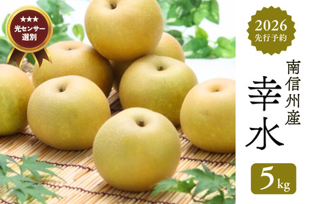 JA05　梨 幸水 約5kg／2026年8月中旬～9月上旬頃 配送予定 // 贈答 センサー選別 糖度センサー 梨 なし ナシ 果物 フルーツ ギフト 幸水 太鼓判 優糖生