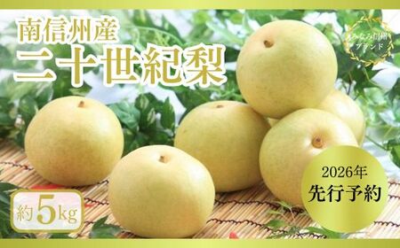 JA07　梨 二十世紀 約5kg / 2026年9月上旬～9月下旬頃 配送予定 // 贈答 センサー選別 糖度センサー 梨 なし ナシ 果物 フルーツ ギフト 二十世紀 二十世紀梨 太鼓判