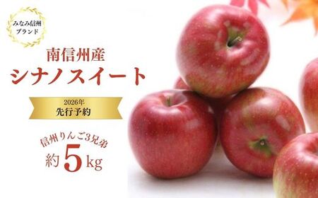 JA13　りんご シナノスイート 約5kg ／ 2026年10月中旬ごろ配送予定 // 長野県 贈答 南信州産 長野県オリジナル品種 甘い 新鮮 スイート リンゴ 厳選 りんご三兄弟
