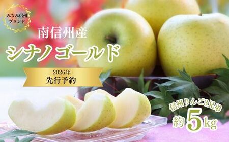 JA14　りんご シナノゴールド 約5kg ／ 2026年10月下旬～11月上旬ごろ配送予定 // 長野県 糖度センサー選別 オリジナル品種 南信州産 贈答 ギフト 濃厚 甘い 酸味 かため 硬め シャキシャキ 新鮮