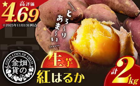 焼き芋 さつまいも 紅はるか 生芋  2kg 【畑の金貨】 K181-004