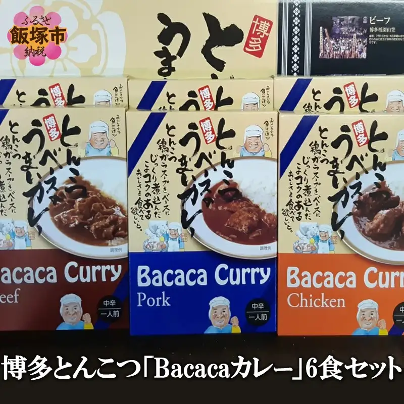 博多とんこつ「Bacacaカレー」6食セット【A5-255】