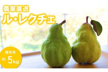 KL04 洋梨 ル・レクチェ（大玉）約5kg 贈答／2026年11月下旬頃から配送 // 長野県 松川町 梨 洋梨 洋ナシ ルレクチェ 大玉 産地直送 農家直送 農家支援 果物 フルーツ