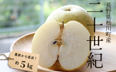 KW02 梨 二十世紀 約5kg（9～14玉） 松川町産 贈答／2026年9月中旬頃～配送 | 長野県 南信州 松川町 和梨 梨 なし ナシ 20世紀 約5㎏ 産地直送 農家直送 農家支援 贈答 二十世紀 果物 フルーツ