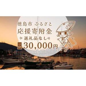 【返礼品なし】徳島市　応援寄附金（一口30000円）