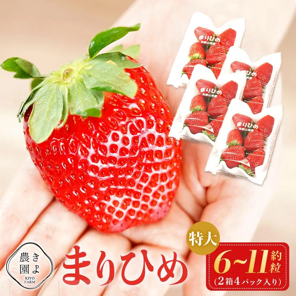 特大まりひめイチゴ 朝摘 6個～11個入×4パック［2027年1月中旬頃より発送］［先行予約］［KT4］