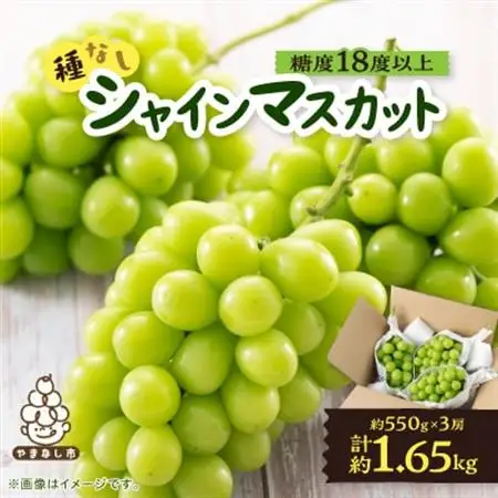 【2026年発送】山梨市産「シャインマスカット(種なし)」 約1.65kg (約550g×3房)【配送不可地域：離島・沖縄県】【1117302】