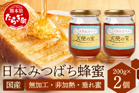 【垂れ蜜】日本みつばち 蜂蜜「天使の宝」2個 セット 希少 ニホンミツバチ 100％ はちみつ 高純度 高濃度 自然落下 無添加 ハチミツ 蜂蜜 ハニー ハチミツ 094-0003