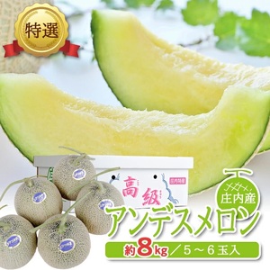 SC0678　特選 庄内産 アンデスメロン　約8kg(青肉/5～6玉入つる付) 