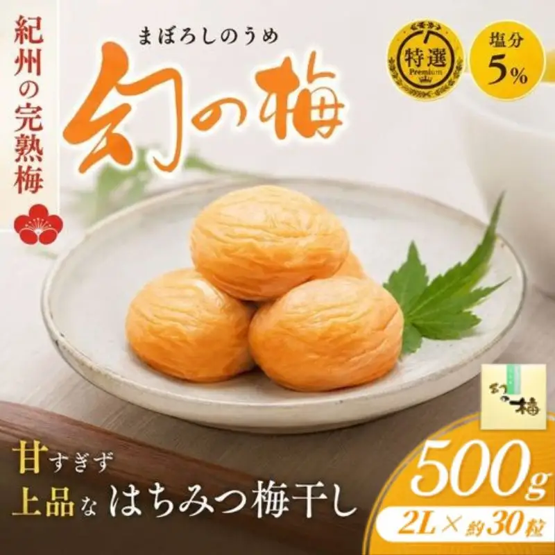 梅干し 500g  はちみつ梅干し 紀州南高梅【okh002】