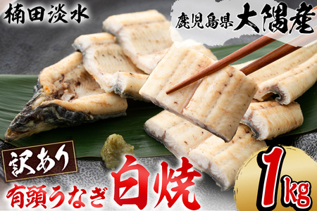【訳あり】鹿児島県大隅産！楠田の極うなぎ白焼き 有頭1kg（約5尾～7尾） うなぎ 鰻 ウナギ 国産 鹿児島県産 九州産 白焼き 冷凍 うな重 ひつまぶし c6-077