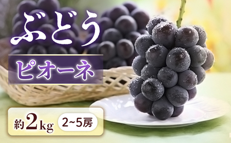 ぶどう ピオーネ 約2㎏ ぶどう