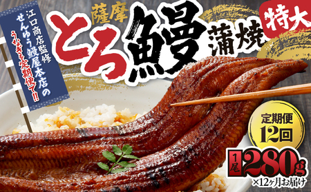 2175-1 【江口商店監修】薩摩とろ鰻蒲焼特大サイズ一尾280g（12 ヶ月定期） KN084-T03 魚 鰻