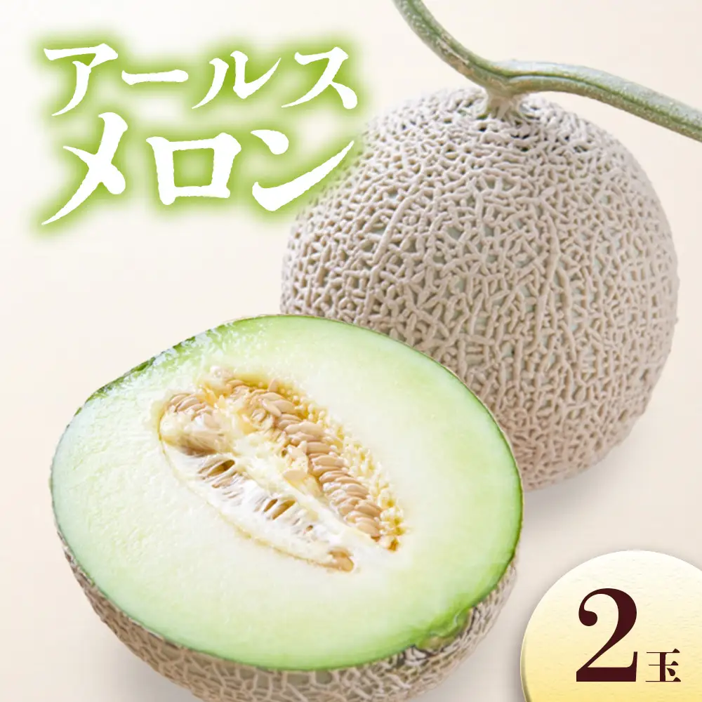 アールスメロン　2玉　＜2026年8上旬～発送予定＞　メロン  青肉 果物 フルーツ  期間限定 数量限定