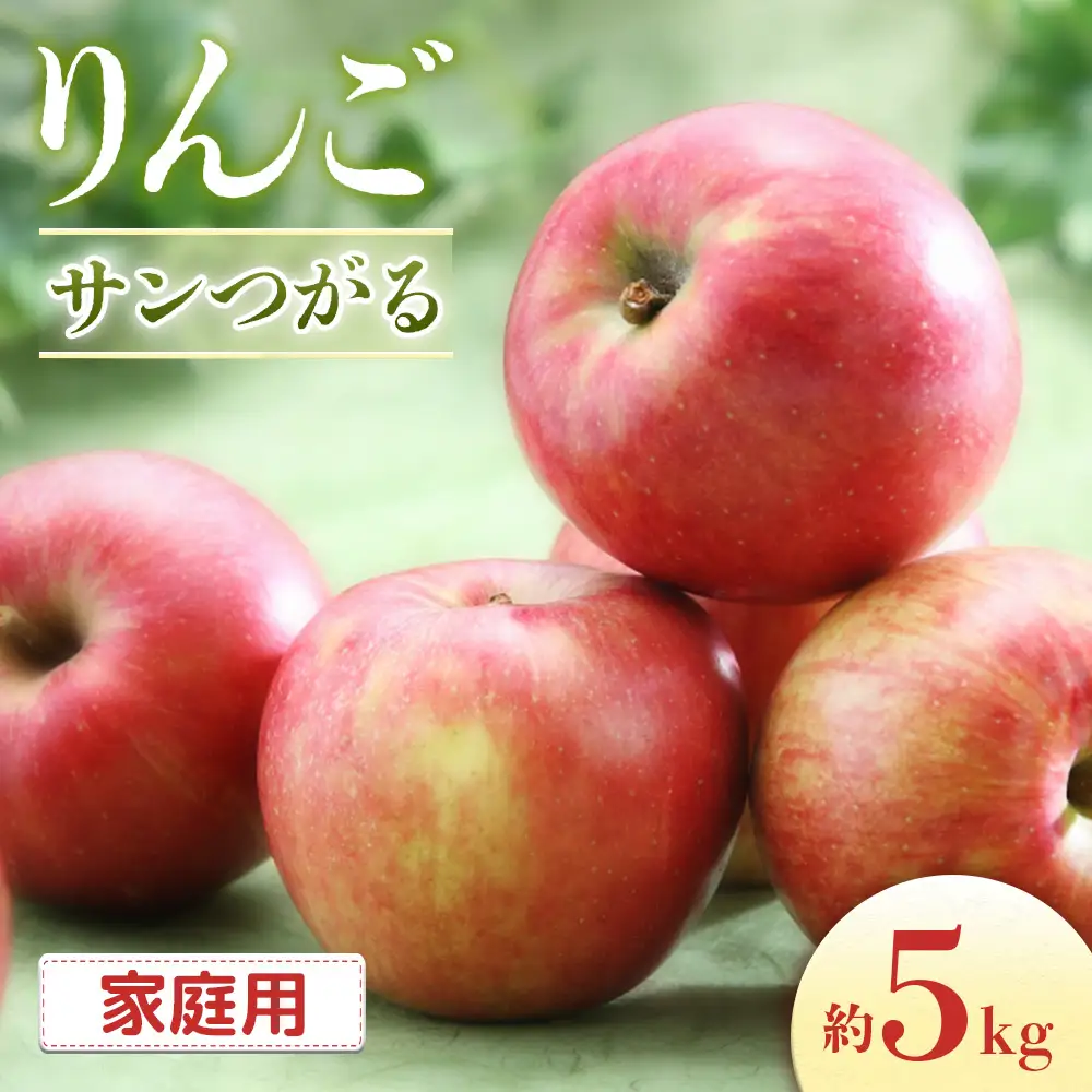【2026年発送先行予約】りんご サンつがる 約5kg（16～20玉入り）※ご家庭用※ ※2026年8月下旬～9月上旬発送予定※ [A-61]