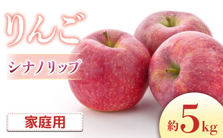 【2026年発送先行予約】りんご シナノリップ 約5kg（16～20玉入り）※ご家庭用※ ※2026年8月中旬～