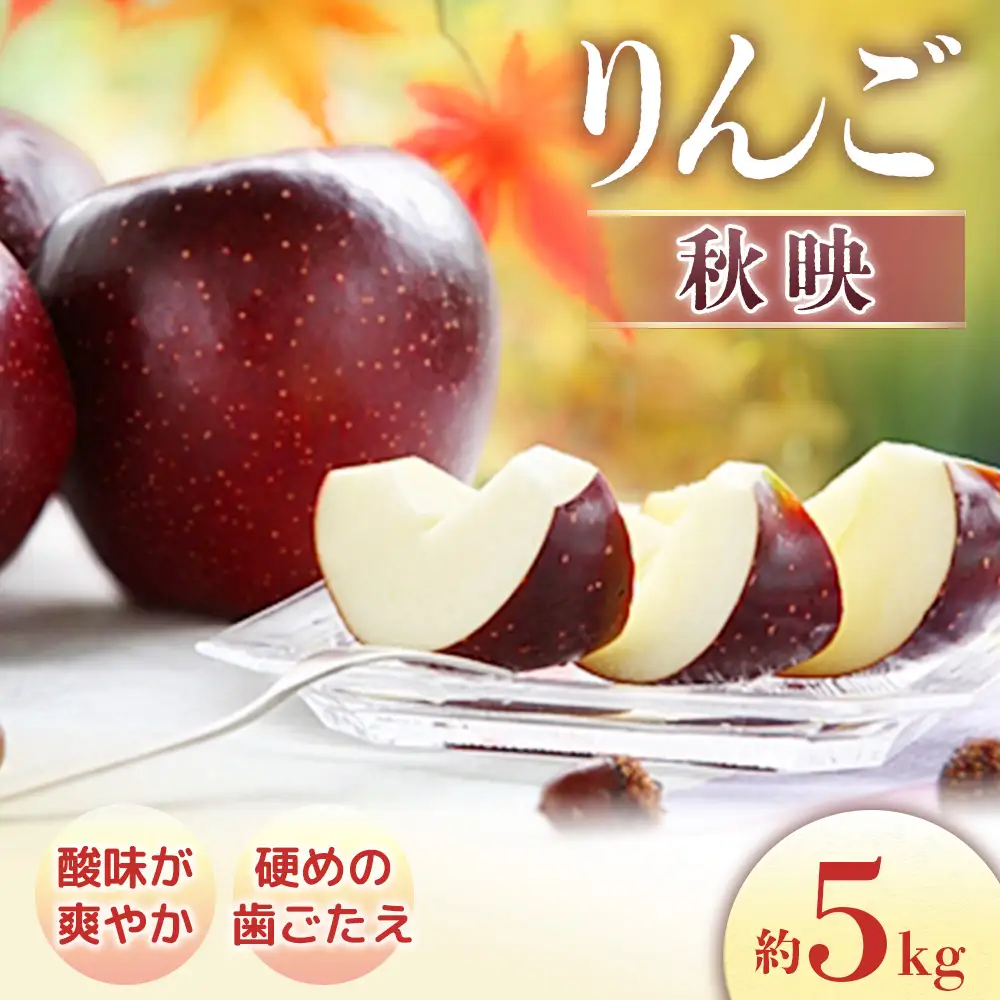 【2026年発送先行予約】りんご　秋映　約5kg（10～20玉入り）※2026年9月下旬～10月上旬発送予定※