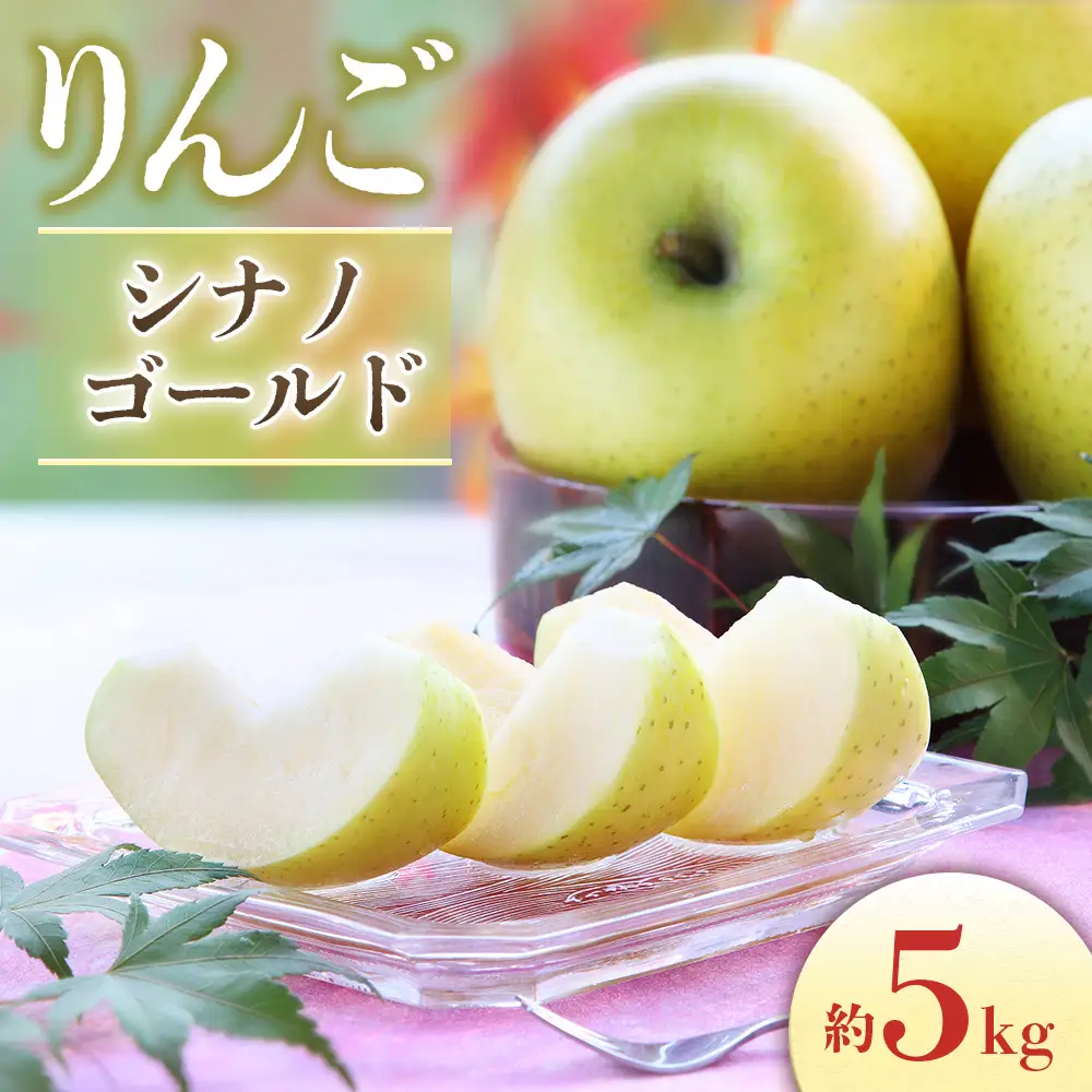 【2026年発送先行予約】りんご シナノゴールド 約5kg（10～20玉入り）※2026年10月中旬～11月上旬発送予定※