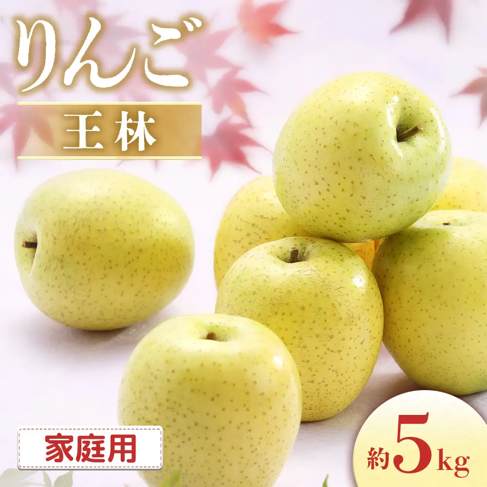 【2026年発送先行予約】りんご 王林 約5kg（10～20玉入り）※ご家庭用※
